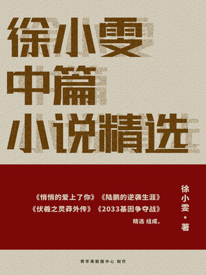 cover image of 徐小雯中篇小说精选